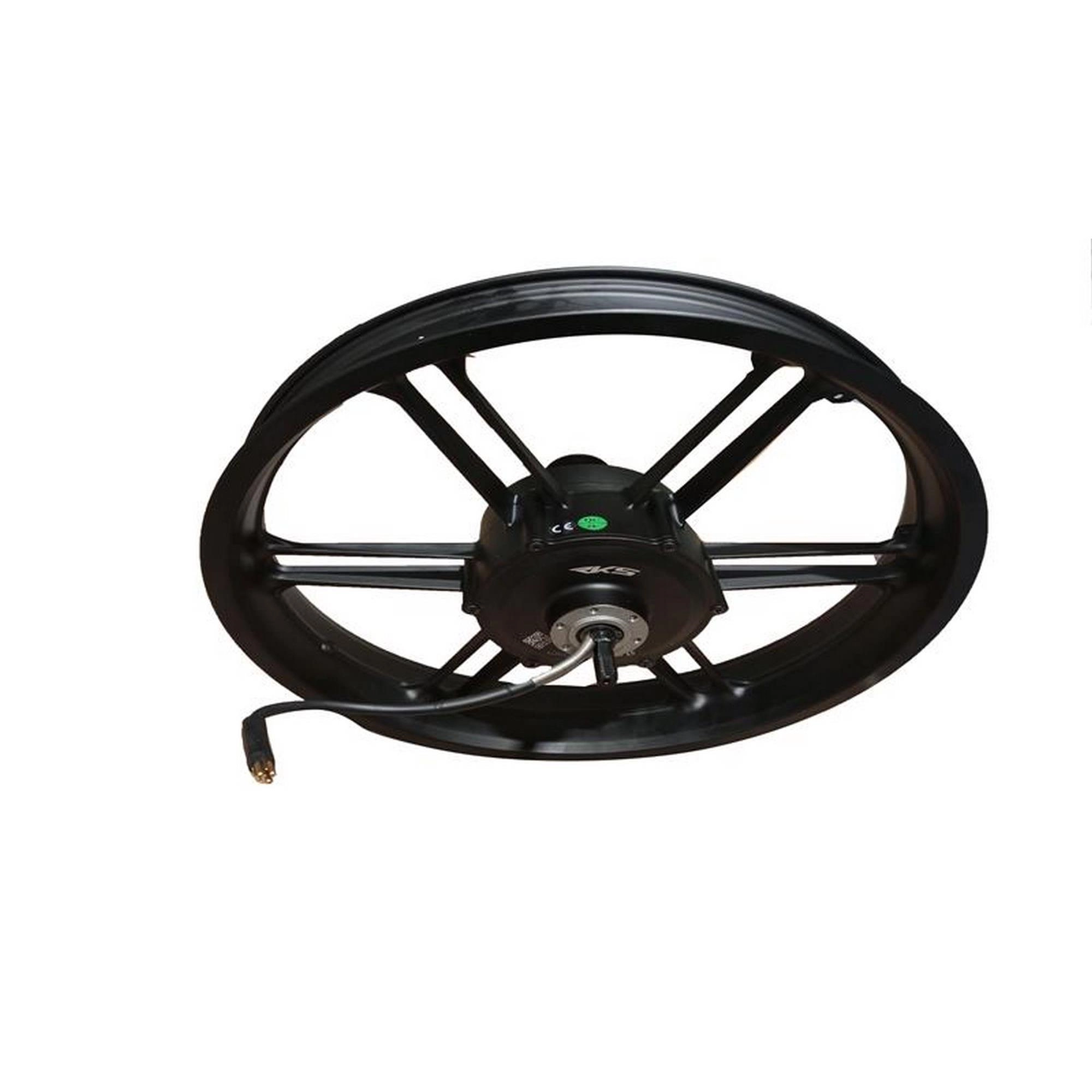 APE RYDER COLOBUS ARKA JANT ve MOTOR #RK 74021